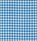 Freckled Sage Swatch Blue Gingham