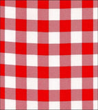 Freckled Sage Swatch Large Gingham Red