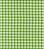 Freckled Sage Swatch Lime Gingham