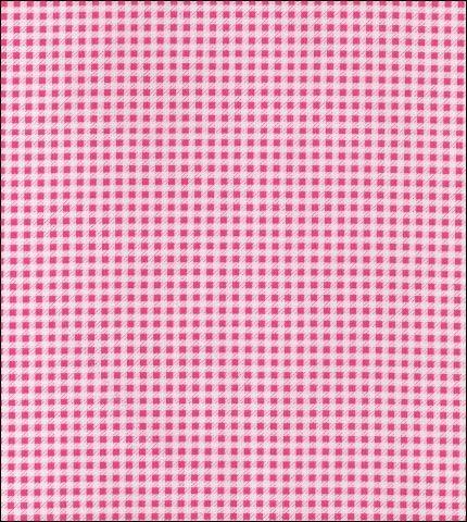Freckled Sage Oilcloth Products Swatch Pink Gingham