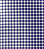 Freckled Sage Swatch Navy Gingham