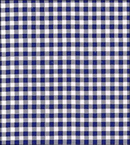 Freckled Sage Oilcloth Swatch Navy Gingham