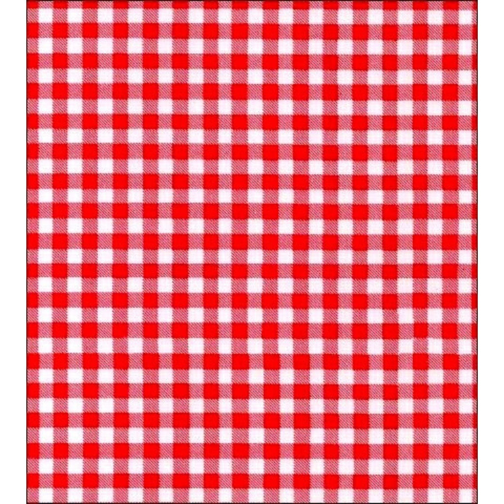 red gingham oilcloth swatch