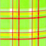 freckled sage plaid lime green and orange oilcloth swatch