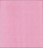 Freckled Sage Oilcloth Swatch Pink Gingham