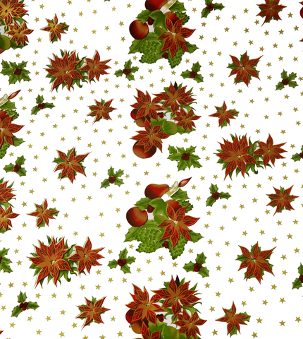 Freckled Sage Oilcloth Christmas Stars White